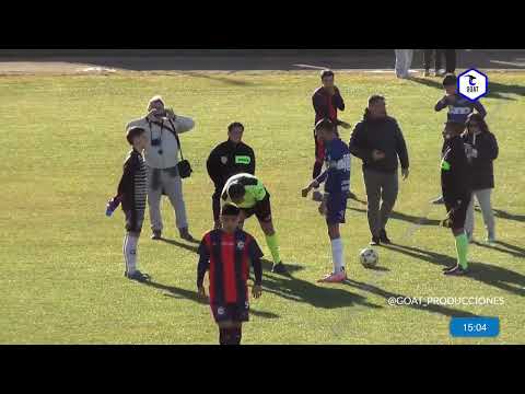 GOAT:  TORNEO APERTURA "24 -fecha 11  - NEWBERY- USMA