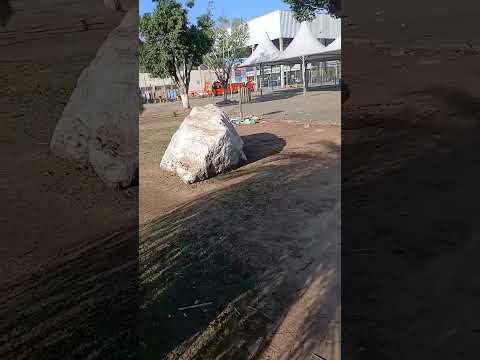 NAIRA DA LIMPEZA  X VANDALISMO DE JUQUITIBA