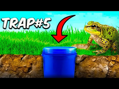 I Set Reptile Traps and Caught This!!