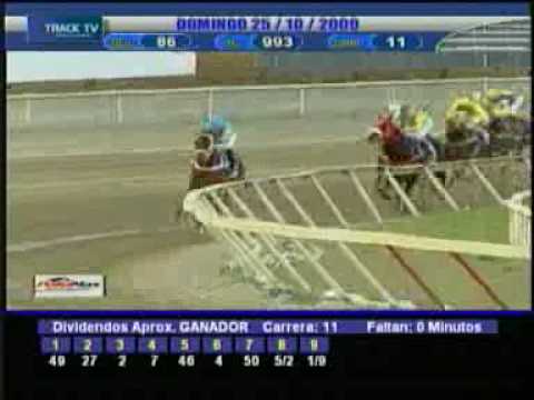 ¡Viva La Reina! Su Majestad, BAMBERA (Clásico Simón Bolivar 2009)