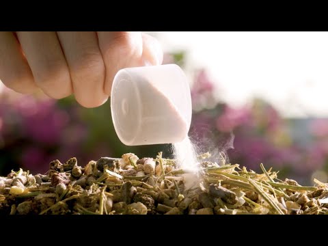 Electrofresh - An All Natural Electrolyte Supplement for your Horse