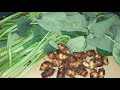 Arabi Recipe In Hindi Arabi Ka Saagh Recipe Arabi Banaye Bilkul Simple Tarike Se