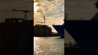 Symphony of the Seas 🛳️#subscribe #like #share #comment #youtubeshorts #shortvideo #short #shorts