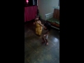 Yohann Ellie Hot Dog Dance From Mickey Mouse June 12 2016