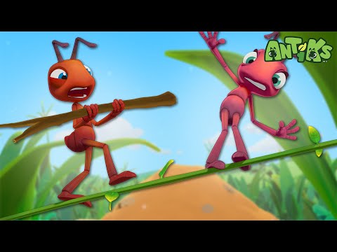 High Wire Act | 🐛 Antiks & Insectibles 🐜 | Funny Cartoons for Kids | Moonbug