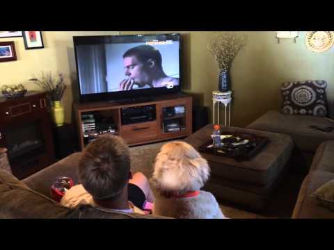 A Dog Is A Man's Best Friend