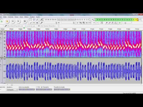 Curió Canto Cascata 35753 - Áudio para encarte em Filhotes
