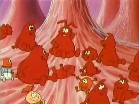 Era Uma Vez O Corpo Humano Ep04 O Coração