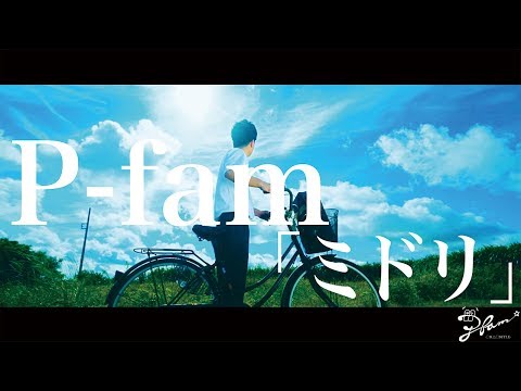 【ミドリ】MV PFAM