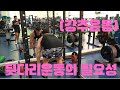 [강추운동] 뒷다리 운동 좀 해라!
