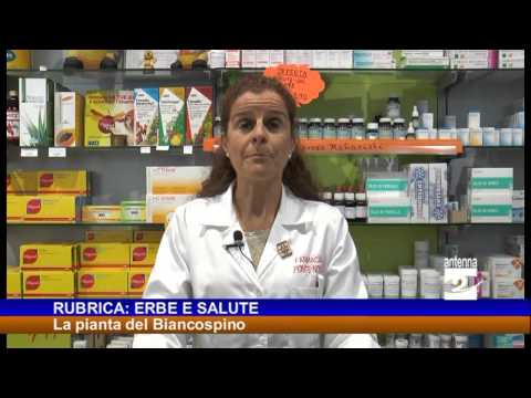 Vivere il marito lalcolizzato Clinica di trattamento di alcolismo Belgorod