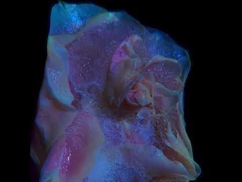 SWART - Dramatik (Cynthia Spiering Remix)(Courtoisy)