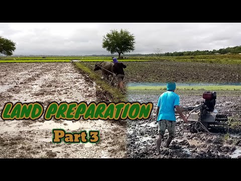 LAND PREPARATION /PART 3