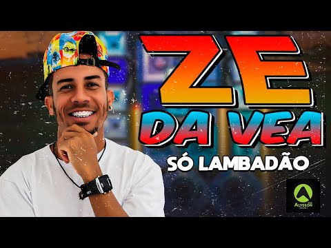 SÓ LAMBADÃO ATUALIZADO 2K24 - ZE DA VEA - REPERTORIO NOVO - MÚSICAS PRA DANÇAR