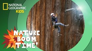 Sequoia National Park | Nature Boom Time | @natgeokids #nationalParkWeek gameplay video by alucas, 6:41 duration