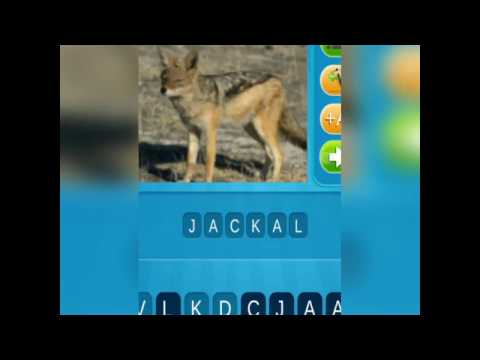 Animal Quiz Game Video