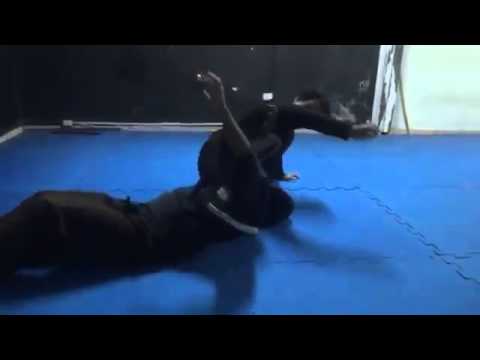 Ninjutsu Bujutsu Kumiuchi Ancient Samurai Art of War