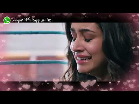 Teri Gallian - Theme Song - UWV