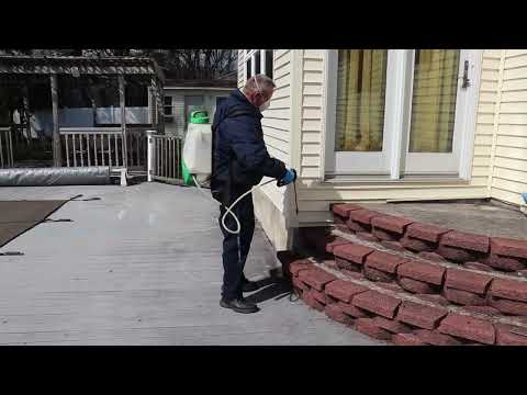 Why Allan Choses Cowleys for Pest Control in Jackson, NJ