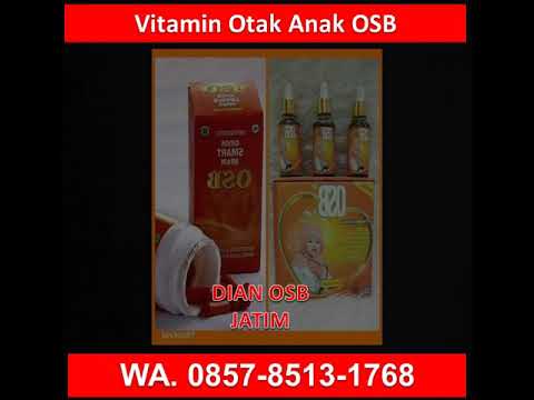 0857-8513-1768 OSB Nutrisi Otak Untuk Anak Umur 5 Tahun,  Anak Autis,  Anak Hiperaktif