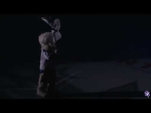 Storm vs Stars 10/15/22 Highlights