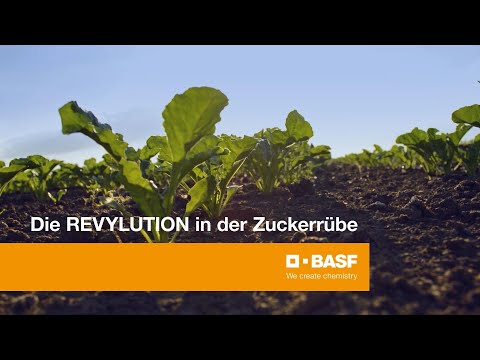 Diadem® - Die REVYLUTION in der Zuckerrübe