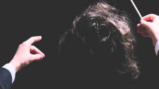 Tchaikovsky - Symphony No 5 Op 64 in E minor Andante (Production Music)