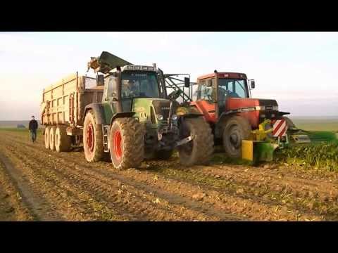 pourquoi la gare aux betteraves