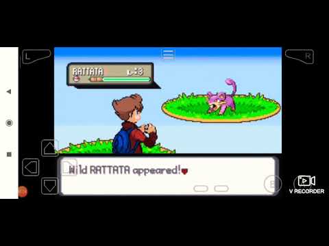 Pokemon islas doradas shinylocke #3