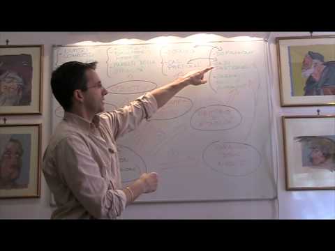 STABILITA' DEGLI AMPLIFICATORI REAZIONATI MAPPA CONCETTUALE (APERTURA) 3003