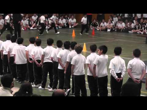 Revista de Gimnasia 1-B