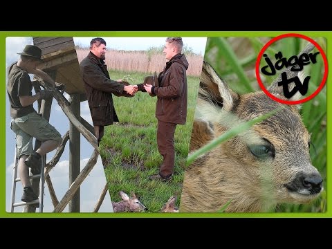 Jagdgeschichte vom 4. Mai | Revierarbeit | Achtung Kitze!