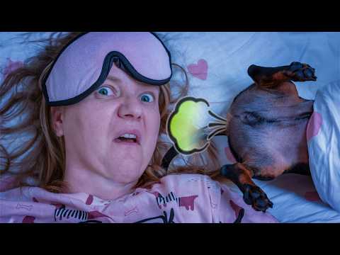 All the Truth About Sleeping With Dachshunds!