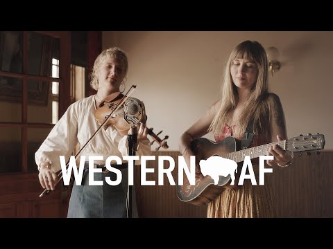Modern Cowboy - Two Runner