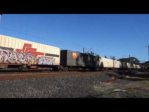 CSR003 / CF4403 / CSR005 / SCT005 with SCT 2BM9 - 19/8/20