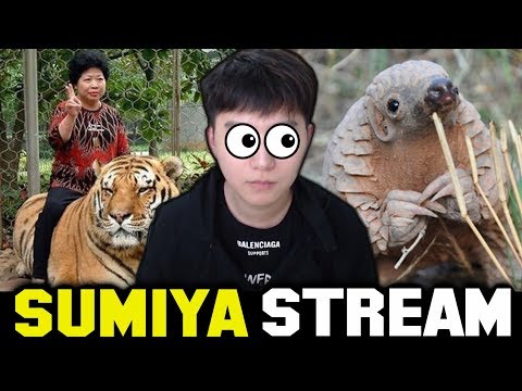 Hero that SUMIYA rarely used | Sumiya Invoker Stream Moment #1399