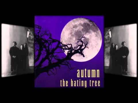 Autumn - The Well