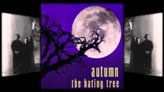 Autumn - The Well