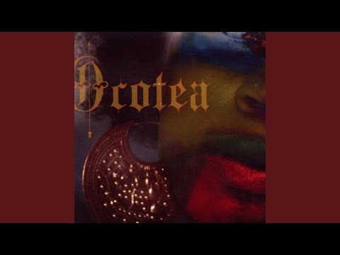 Video thumbnail for Ocotea