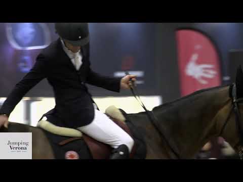 ***Mixed area 🐴🎤️️🇫🇷*** Simon Delestre with Qopilot Batilly Z win