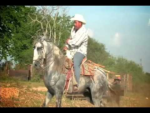 Banda Estrellas de Sinaloa - El Palo Verde (VIDEO OFICIAL)