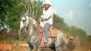 Banda Estrellas de Sinaloa - El Palo Verde (VIDEO OFICIAL)