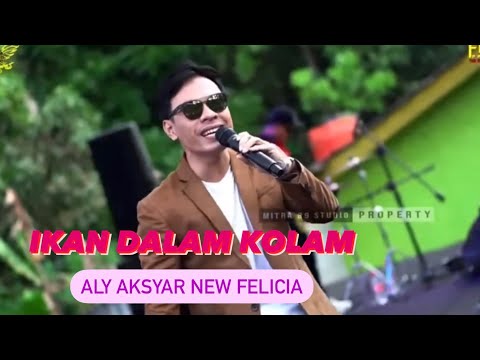 IKAN DALAM KOLAM - ALY AKSYAR NEW FELICIA #trending #dangdut #artisdangdut