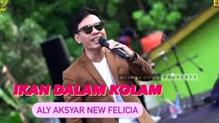 Download lagu IKAN DALAM KOLAM - ALY AKSYAR NEW FELICIA #trending #dangdut #artisdangdut mp3