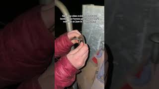 What if POOKIE escapes and robs the supermarket for carrots 🍎🥕 #horse #horsegirl #equestrian