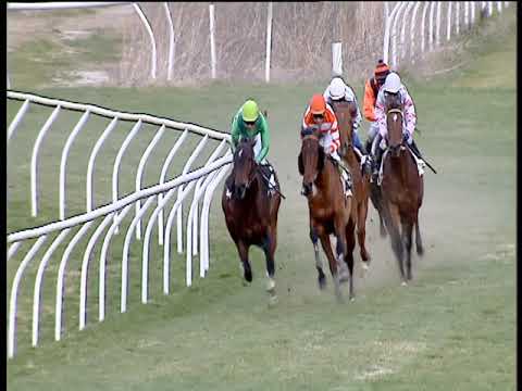 Galoppo 15/02/2019 - 2ª corsa