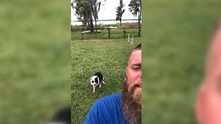 Dog Poses And Follows His Owners Directions While Taking Selfie