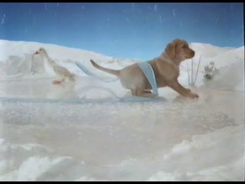 Adverts, ITV 25-12-1990