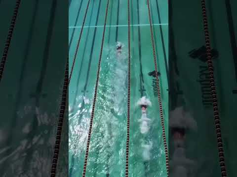 Olympic Swimmer races an average person #swimmer