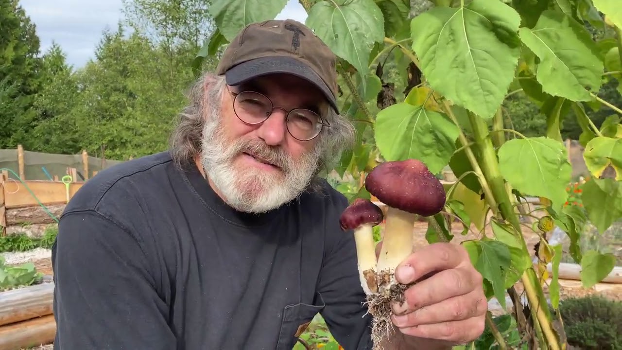 Cultivating and Cooking Garden Giants with Paul Stamets